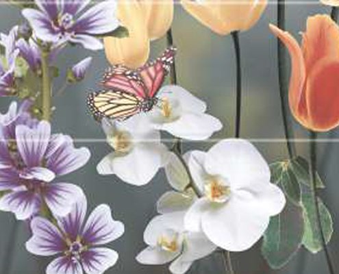 3497 – HL – 1 – B